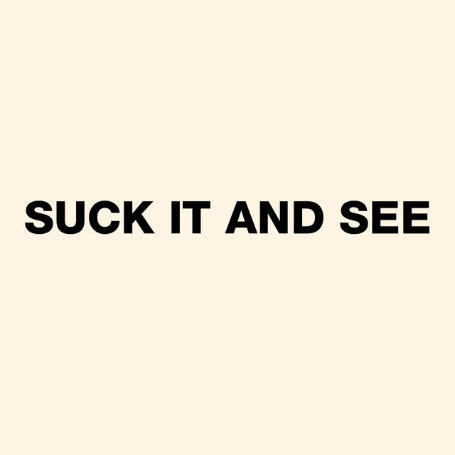 Shure SM58 as heard on Suck It and See by Arctic Monkeys (2011)