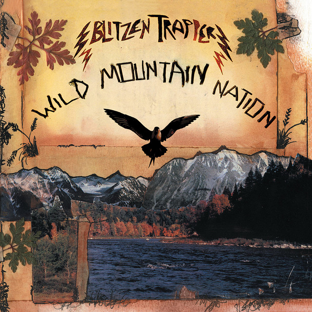 Wild Mountain Nation album cover