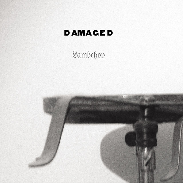 Damaged album cover