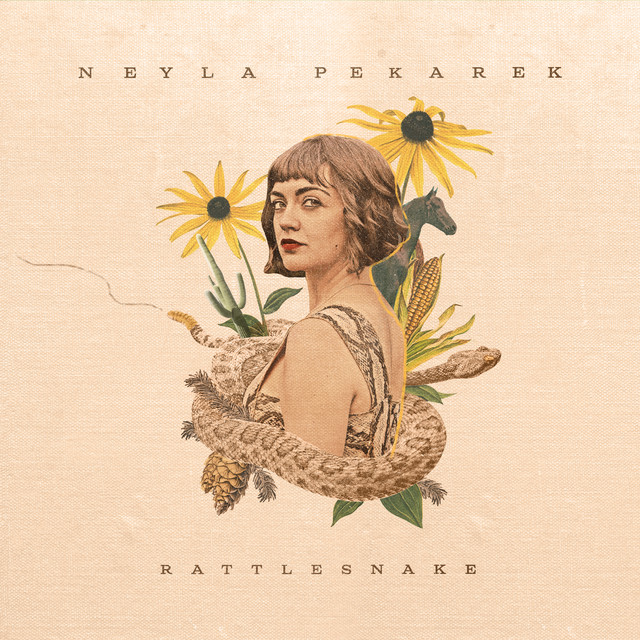 Rattlesnake album cover