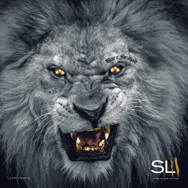 Slum Lords 2 album cover