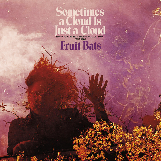 Sometimes a Cloud Is Just a Cloud: Slow Growers, Sleeper Hits and Lost Songs (2001–2021) album cover