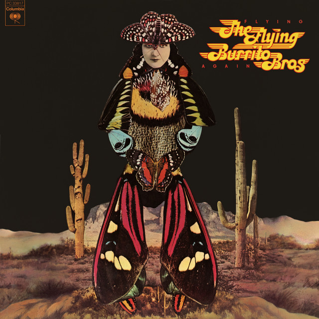 Flying Again album cover