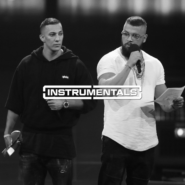 Platin war gestern (Instrumentals) album cover