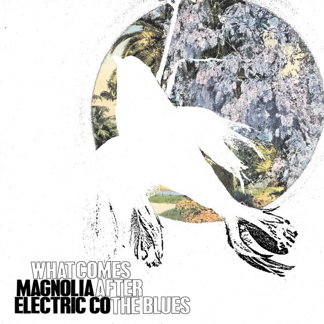 What Comes After The Blues album cover