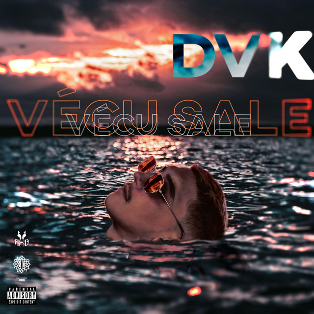 Vécu Sale 2.0 album cover