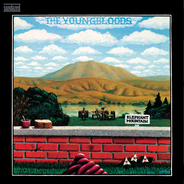 Elephant Mountain album cover