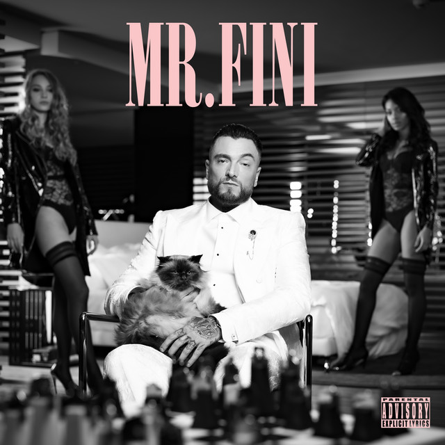 Mr. Fini album cover