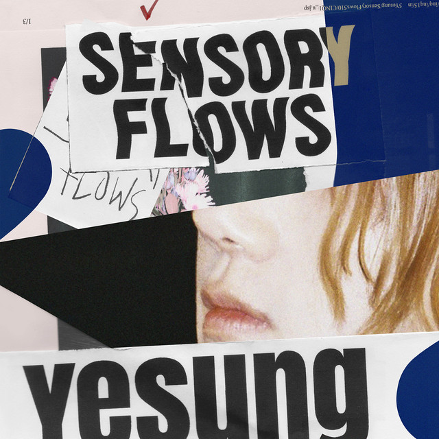 Sensory Flows - The 1st Album album cover