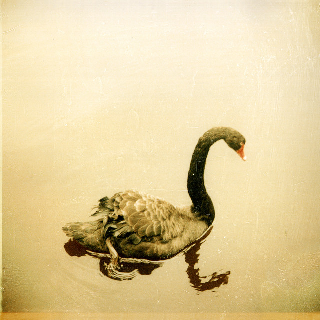 Crooked Fingers (Deluxe Edition) album cover