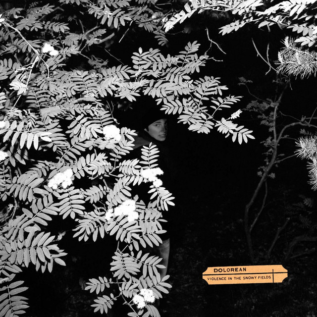 Violence in the Snowy Fields album cover