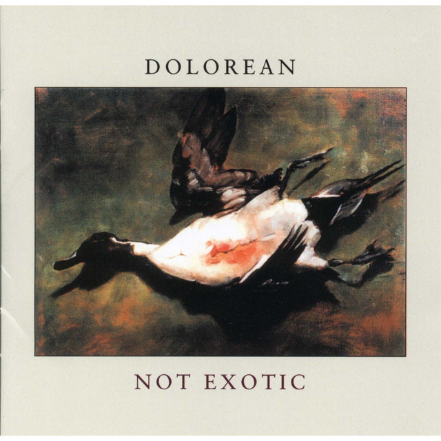 Not Exotic album cover