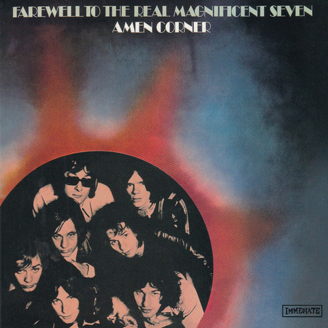 Farewell to the Real Magnificent Seven album cover