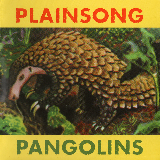 Pangolins album cover