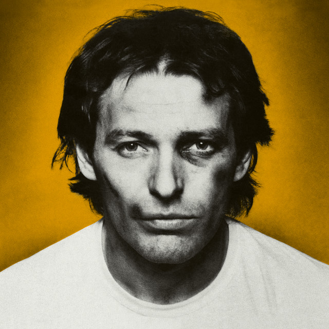 Colpa D'Alfredo 40° RPLAY Special Edition album cover