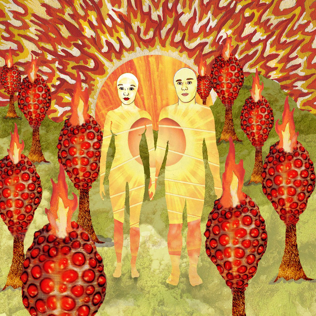 The Sunlandic Twins album cover