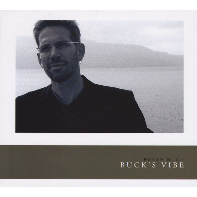 Buck's Vibe album cover
