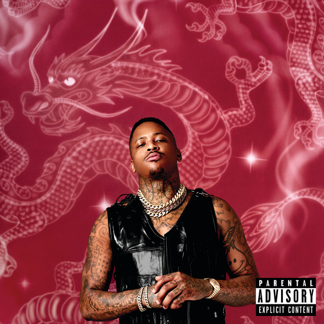 STAY DANGEROUS album cover