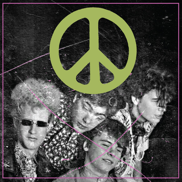 Scratching the Door: The First Recordings of the Flaming Lips (2018 Remaster) album cover