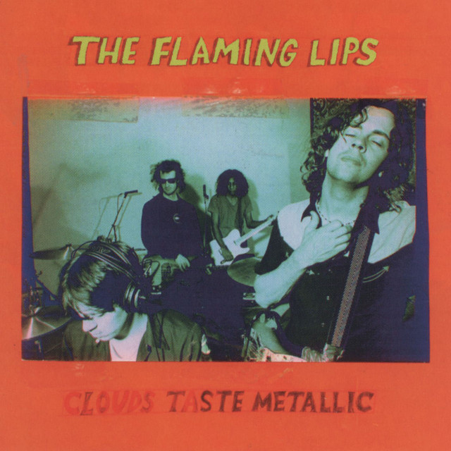 Fender 'Silverface' Twin Reverb (1972-1976) as heard on Clouds Taste Metallic by The Flaming Lips (1995)