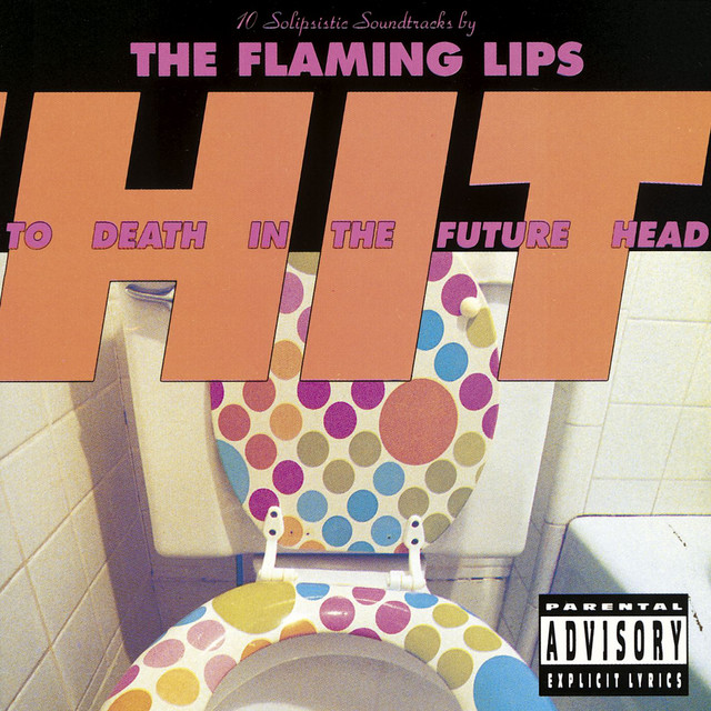 Hit to Death in the Future Head album cover