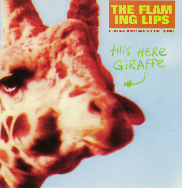 Fender 'Silverface' Twin Reverb (1972-1976) as heard on This Here Giraffe by The Flaming Lips (1995)