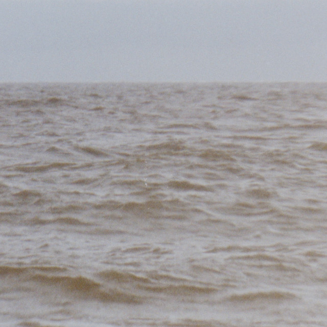 Wild Sea album cover
