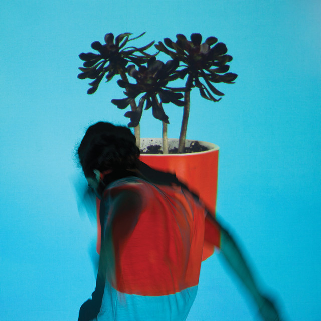 Sunlit Youth album cover