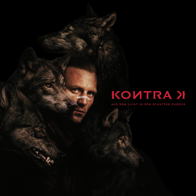 Aus dem Licht in den Schatten zurück album cover
