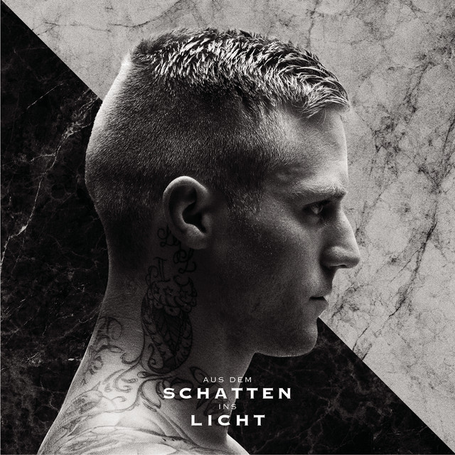 Aus dem Schatten ins Licht album cover