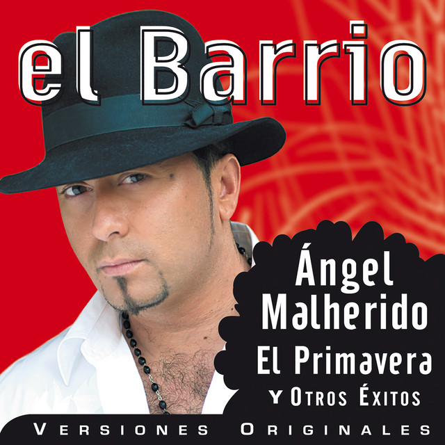 Selección de Grandes Exitos 2004 album cover