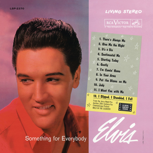 Something for Everybody album cover