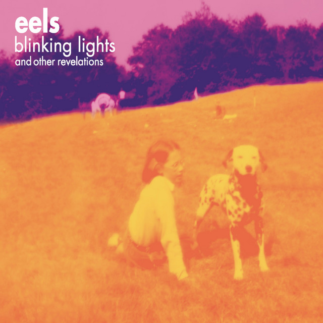 Blinking Lights and Other Revelations album cover
