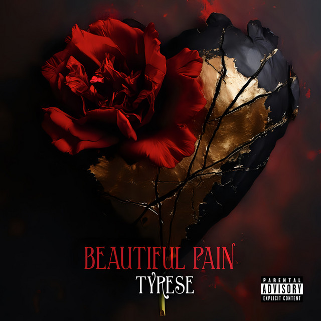 Beautiful Pain album cover