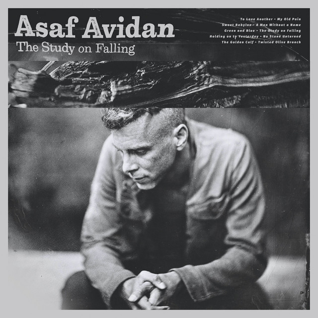 The Study On Falling album cover