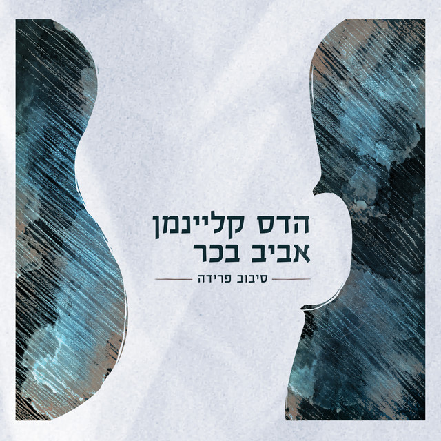 סיבוב פרידה (Live) album cover