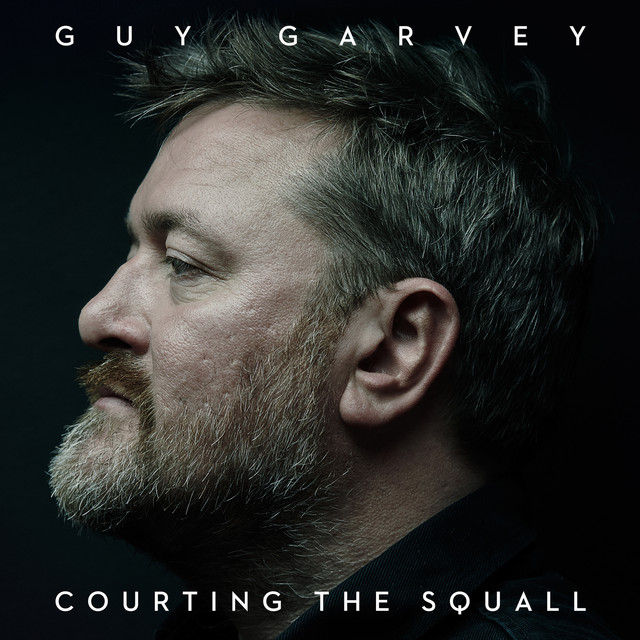 Courting The Squall album cover