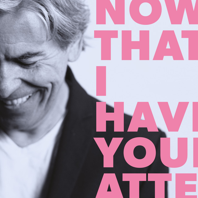 Now That I Have Your Attention album cover