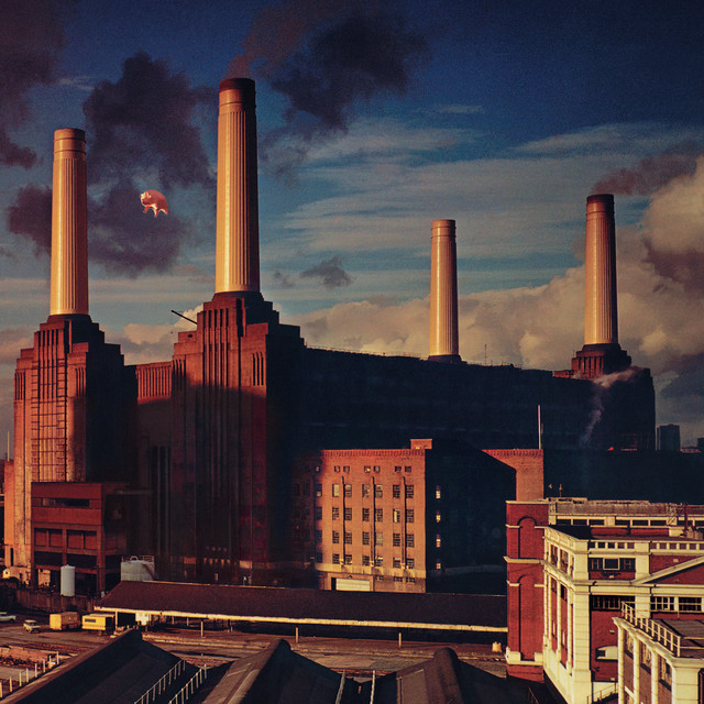 Fender Stratocaster Electric Guitar as heard on Animals by Pink Floyd (1977)