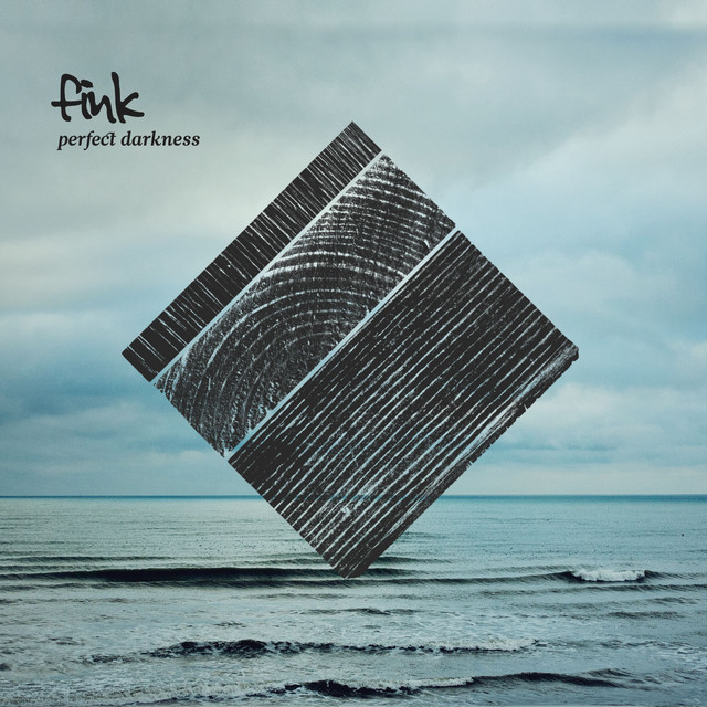 Perfect Darkness album cover