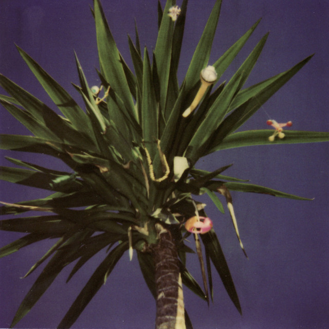 Zopilote Machine album cover