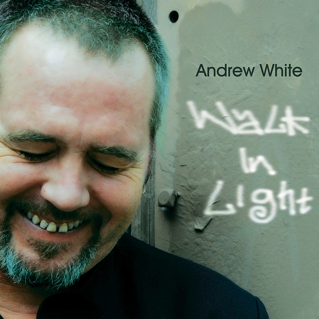 Walk in Light album cover