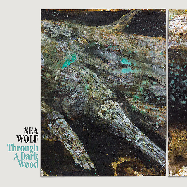 Through A Dark Wood album cover