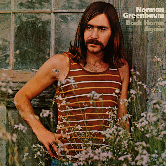 Back Home Again album cover