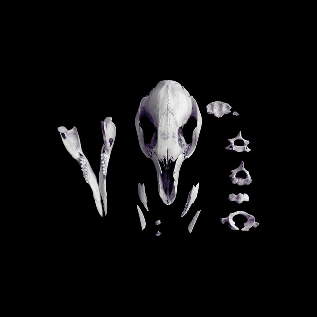 Specter of Death album cover