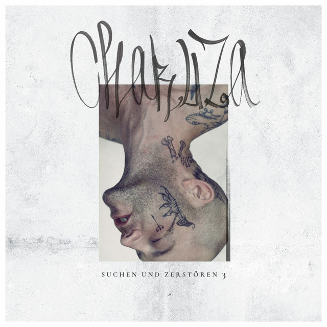 Suchen & Zerstören 3 album cover