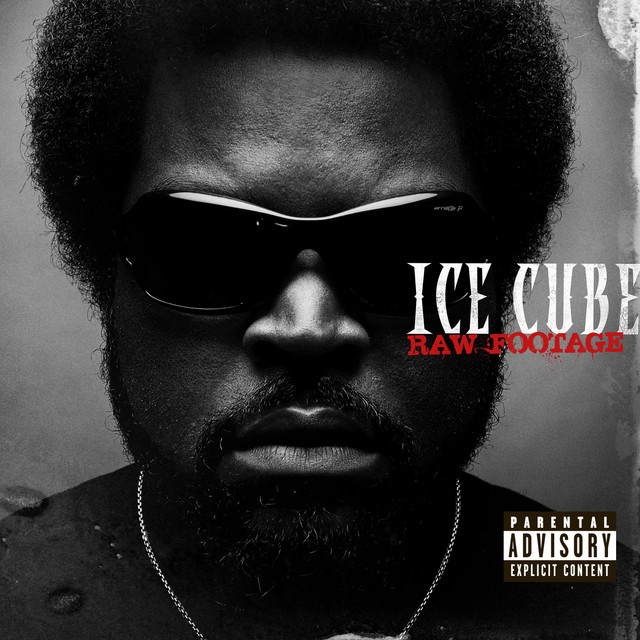 Raw Footage album cover