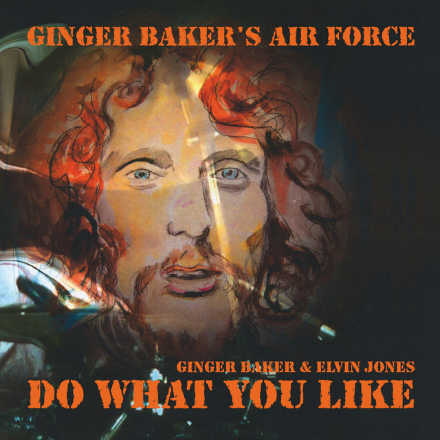 Do What You Like (Live) album cover