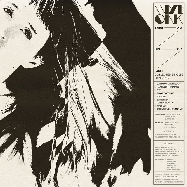 Every Day Like the Last album cover