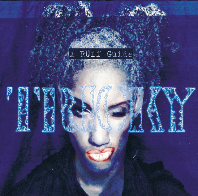 A Ruff Guide To album cover
